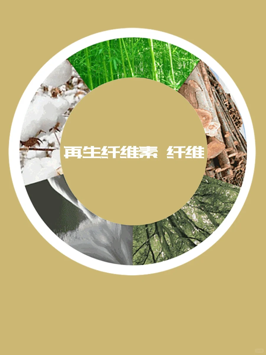 纯棉 VS 再生纤维素纤维