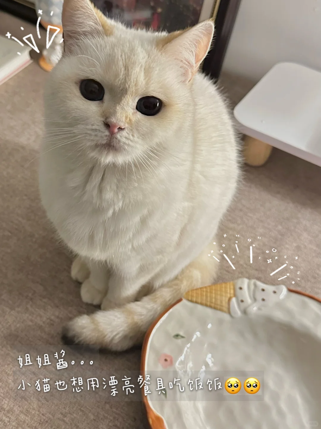 居家plog｜分享最近新入的漂亮餐具??