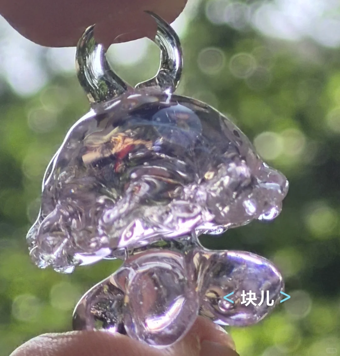 最近在直播间买的一些水母测评