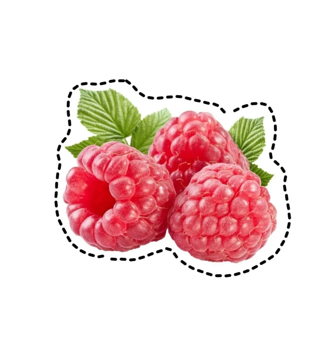 水果认知图片玩具｜可打印 手工剪纸素材