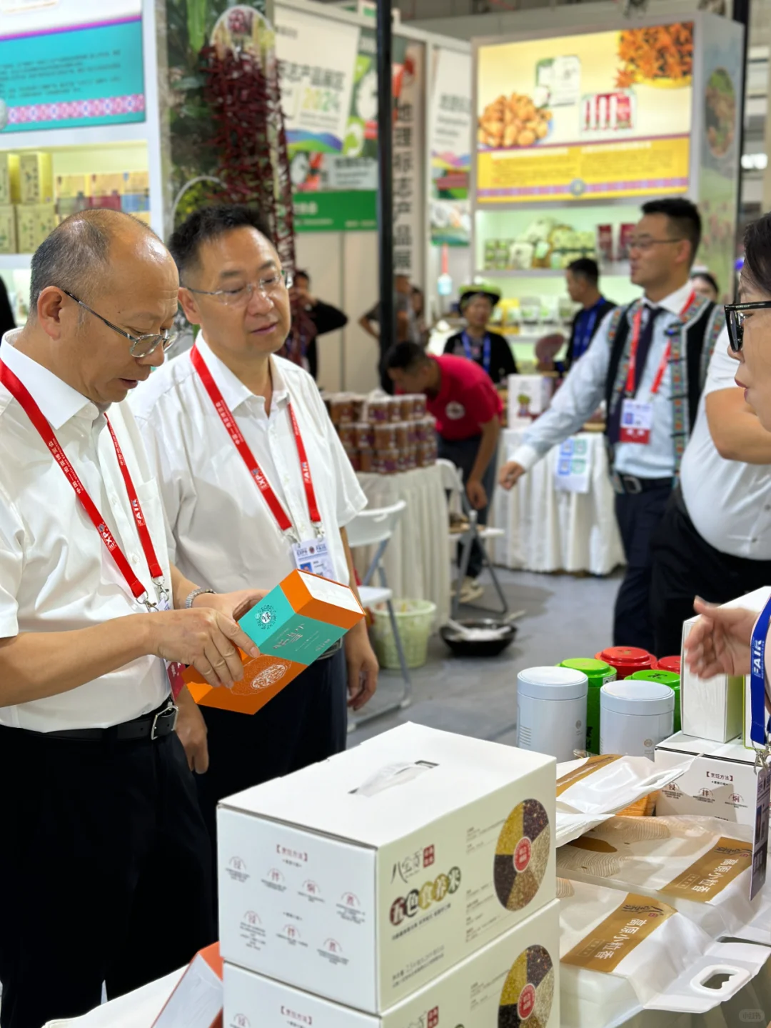 八宝贡｜逛南博一定不要错过12号馆