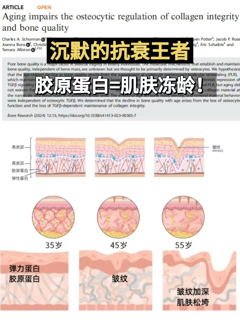 纯干货!关于胶原蛋白你知道多少?