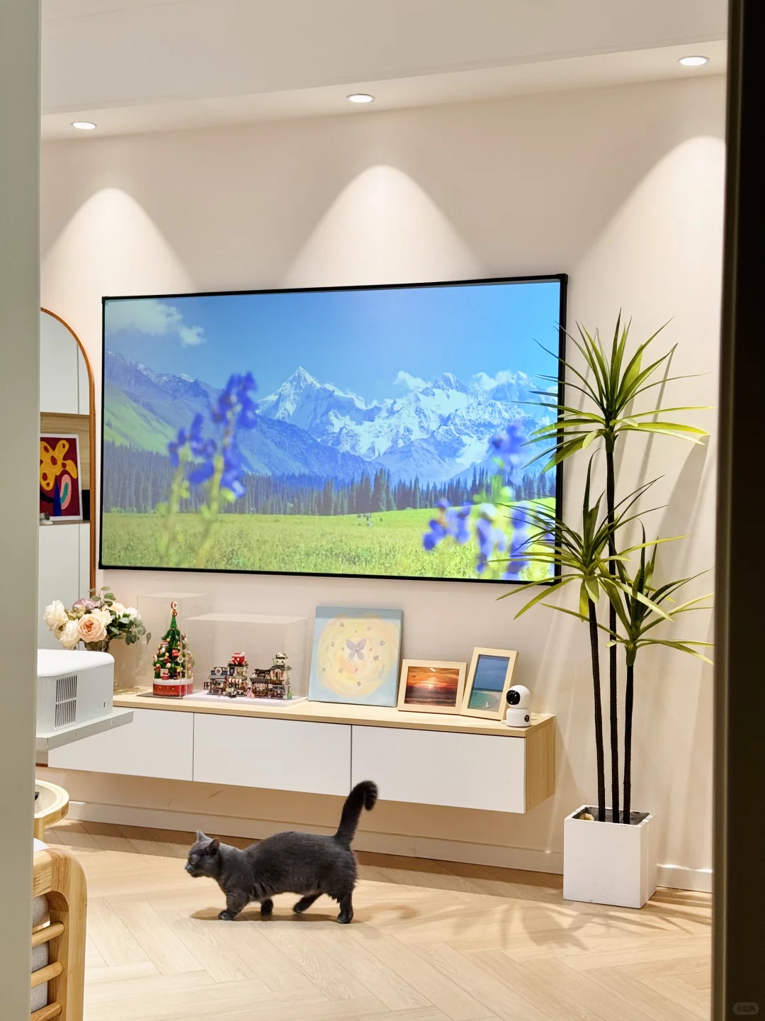 划到图二的时候能不能夸夸我?