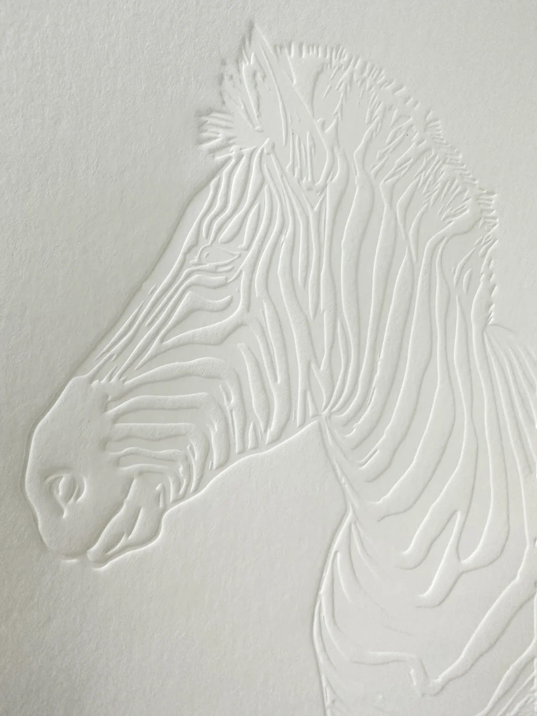 特种纸做无色压凹工艺,肌理感爆棚,质感突出