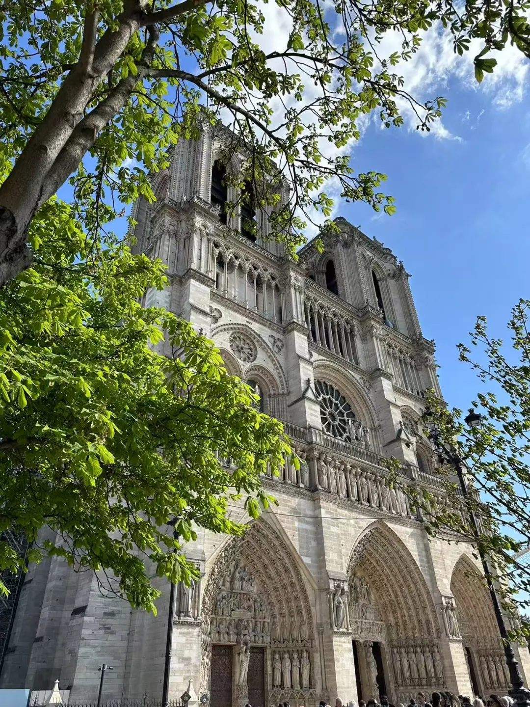 法国巴黎圣母院-玻璃花窗与光下的故事