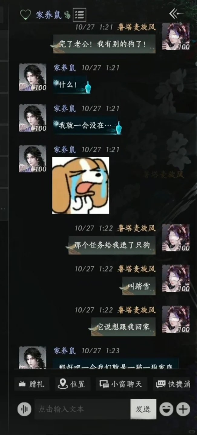 这期是我定制的家养鼠