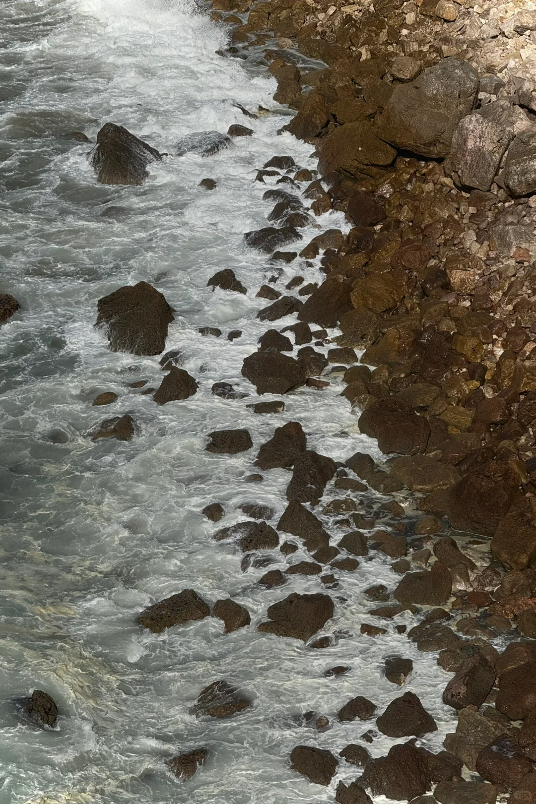 新的面料出来喽持续更新ing