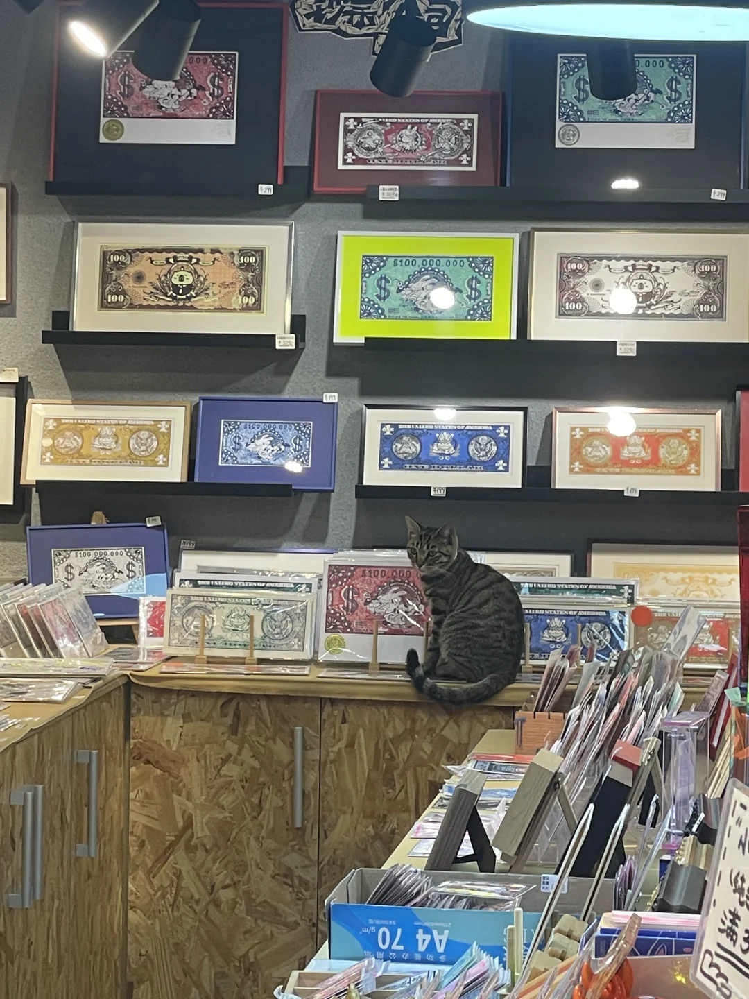 版画工作室里的猫咪鉴赏家?