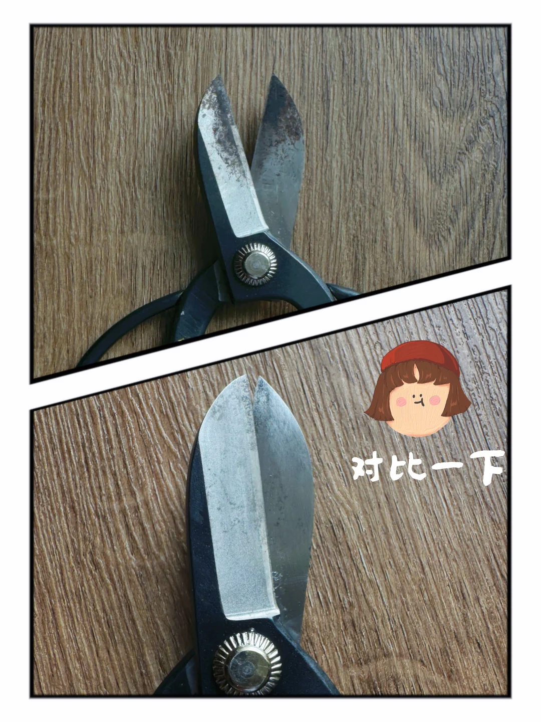 插花必备!拯救你的黑剪刀!