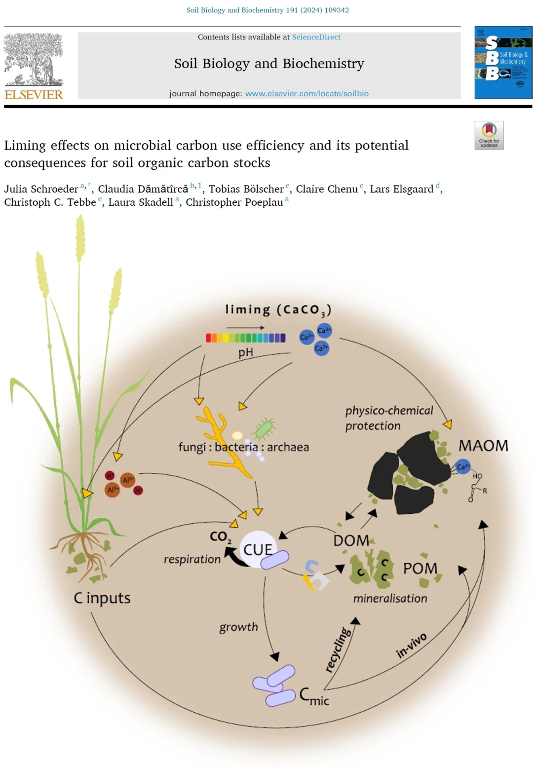 石灰添加如何影响微生物CUE?