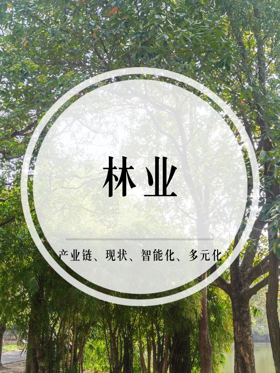 林业(产业链、现状、智能化、多元化)
