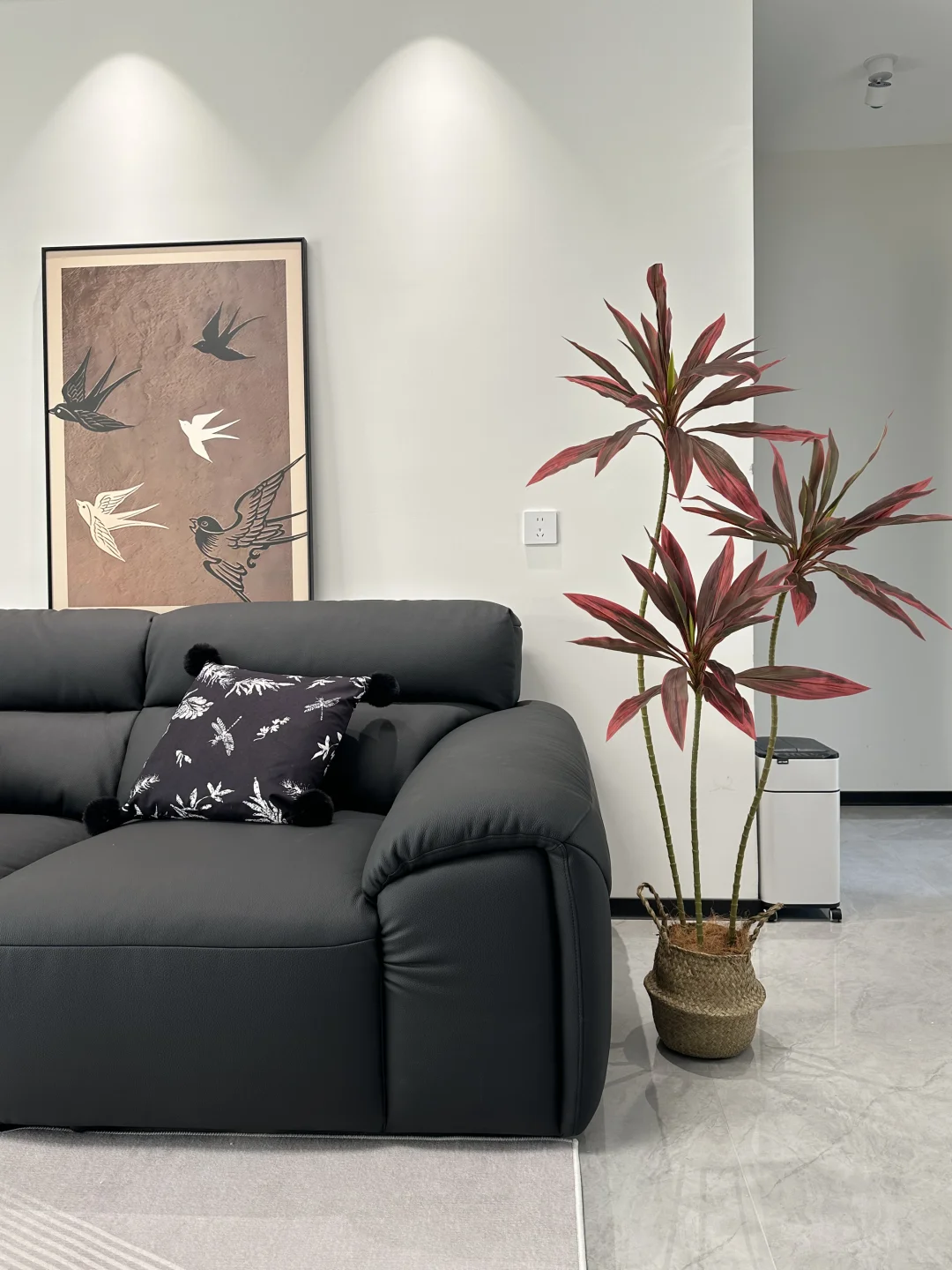 黑白灰的小家太需要它了！！