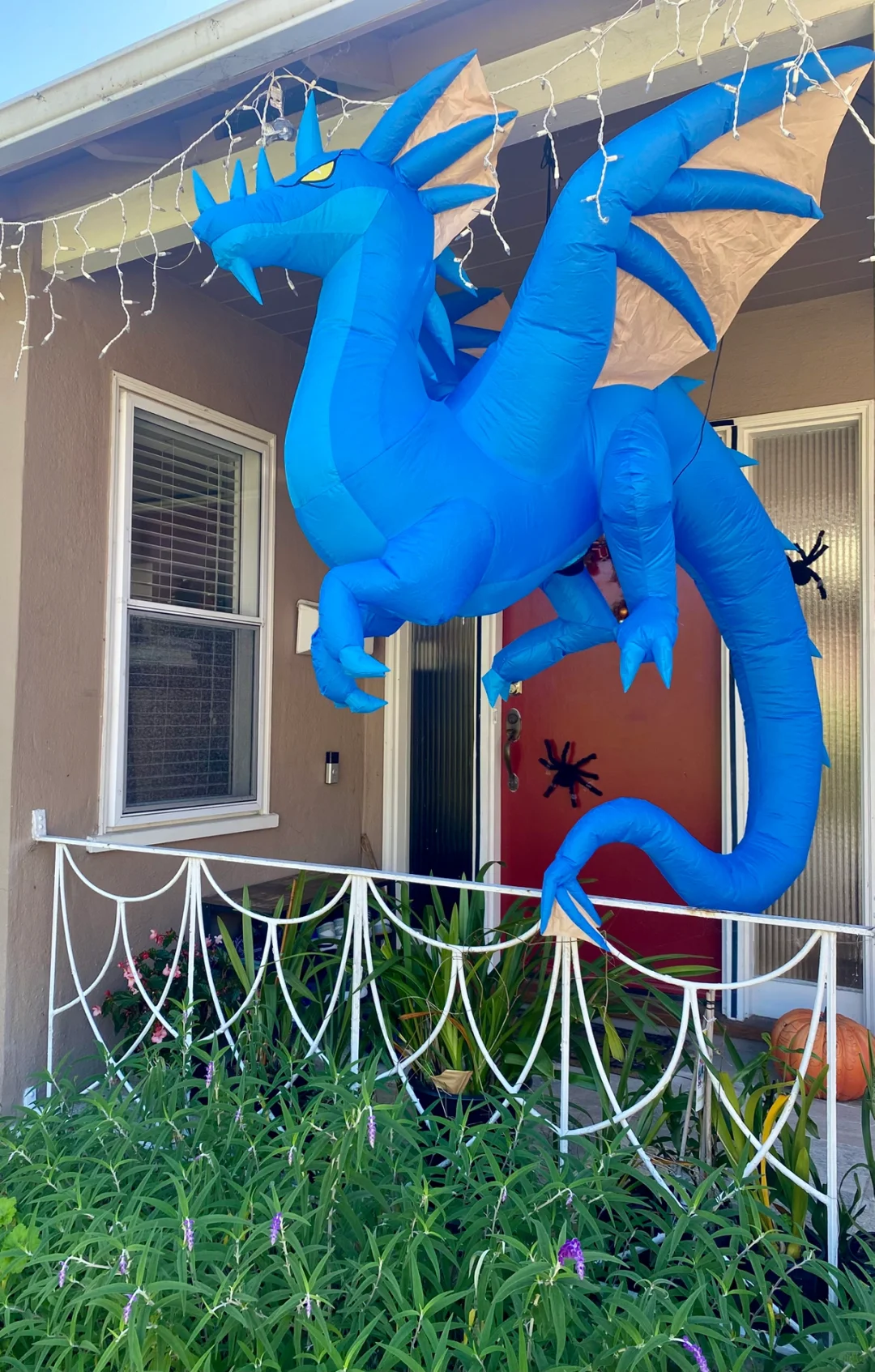 北美Temu上值得买的小东西