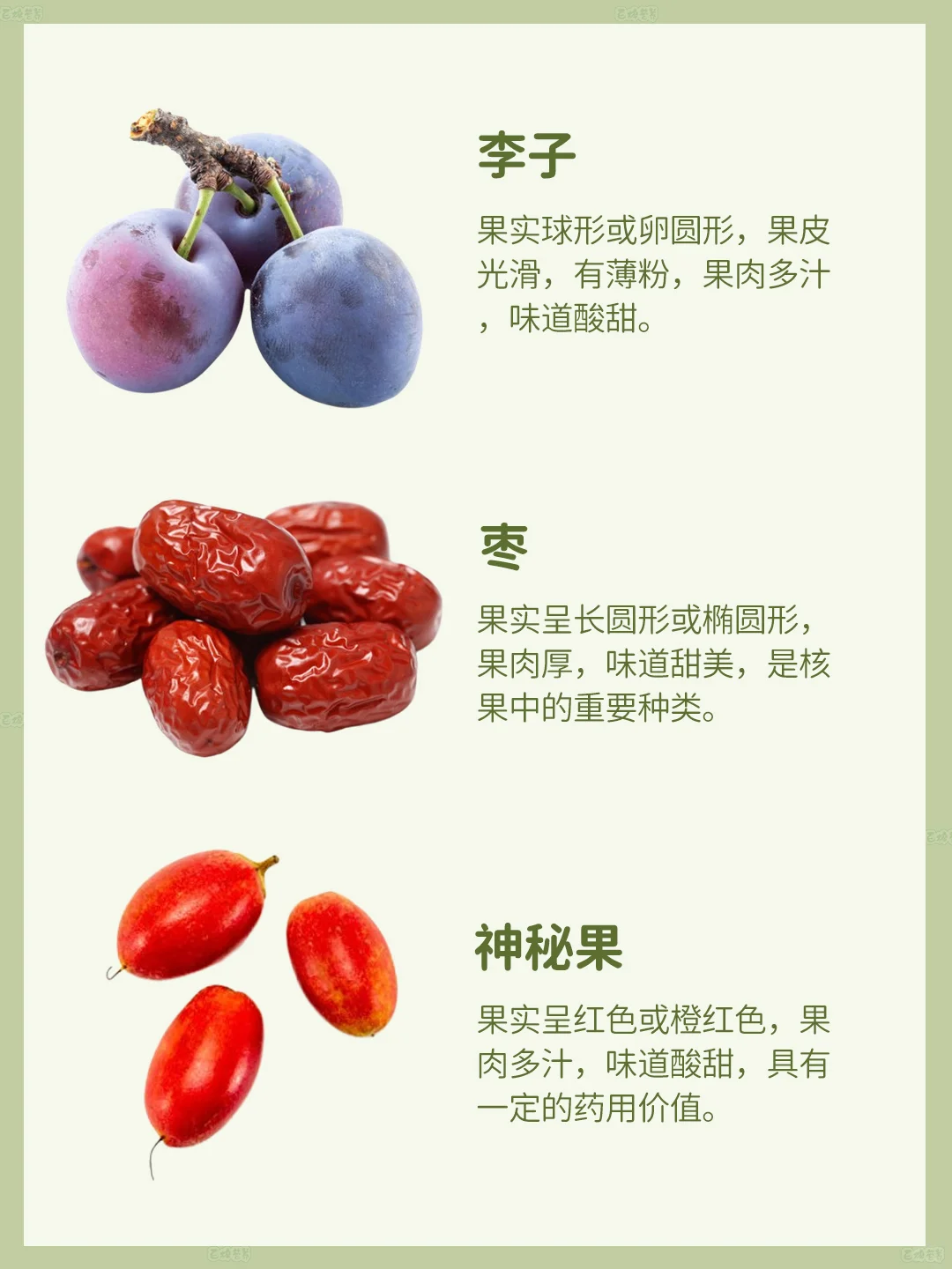 核果家族大揭秘!这些宝藏水果你都尝过吗?