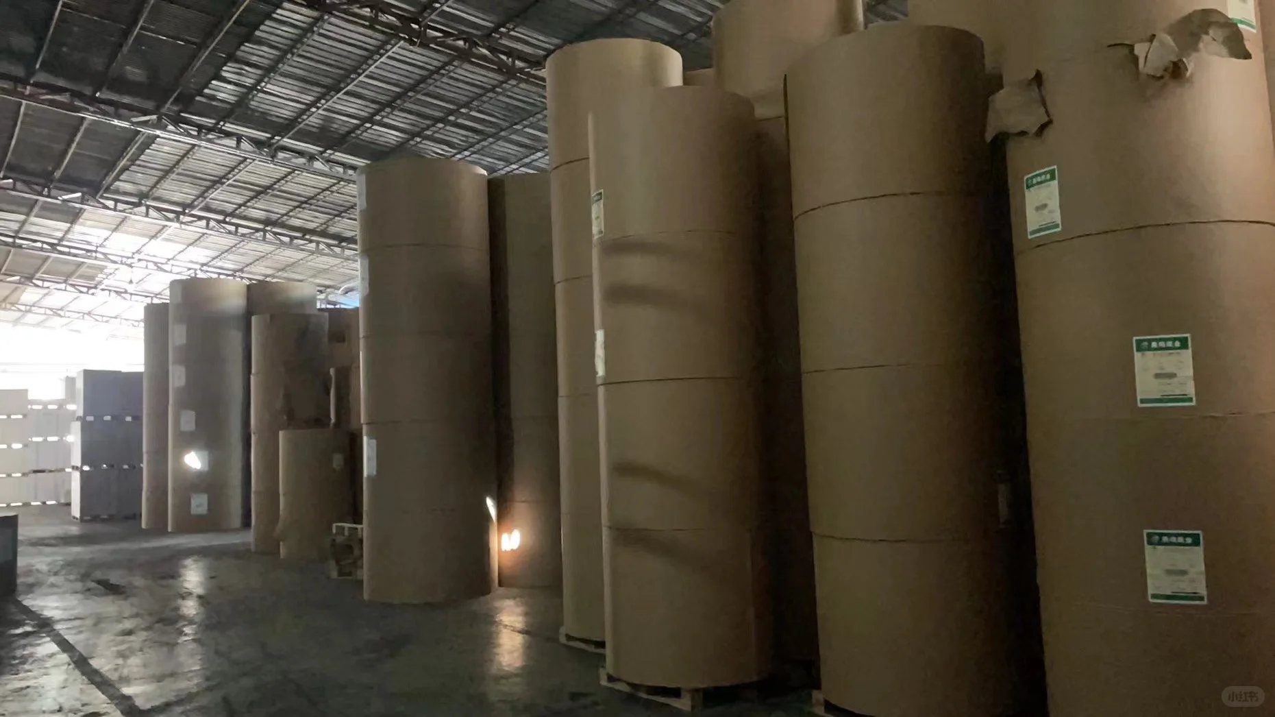 纸厂入驻小红书?