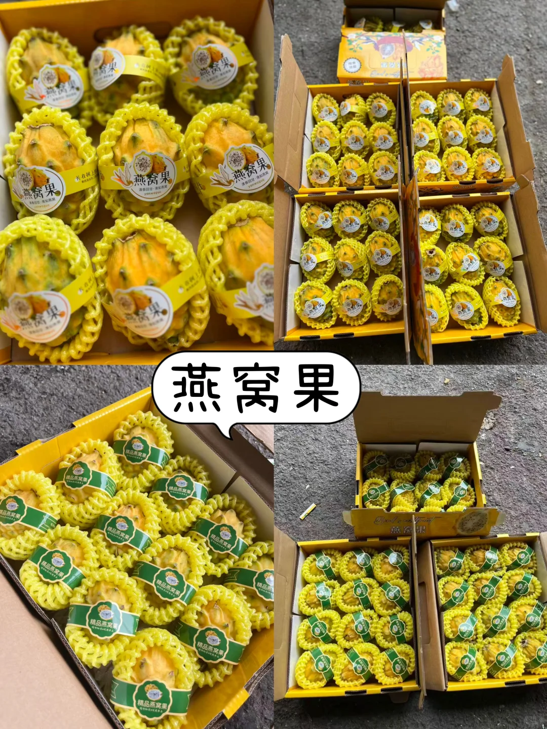 十月的水果市场挑花眼❗️实现水果自由