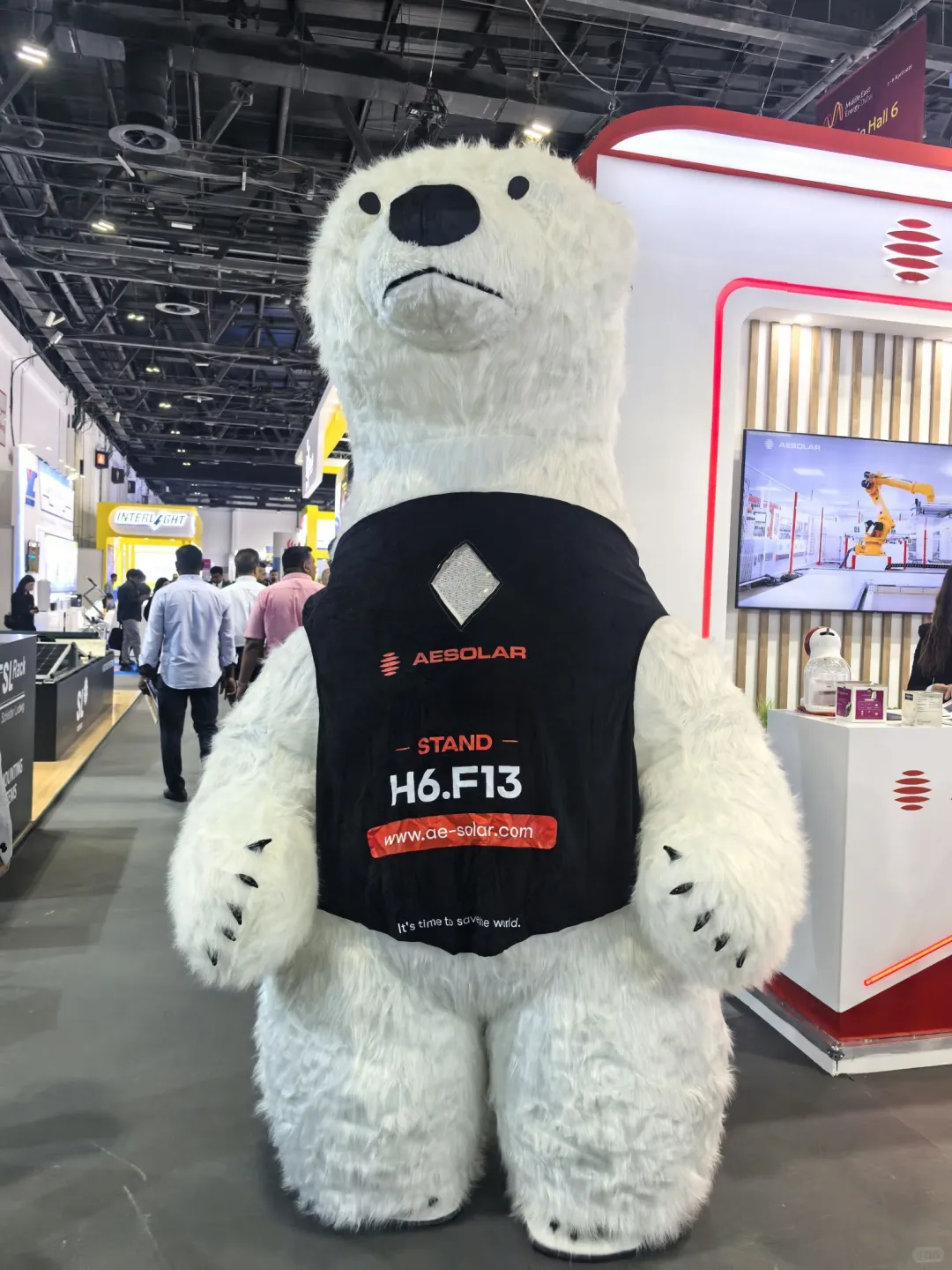 切记!千万不要错过中东市场的这片蓝海!!