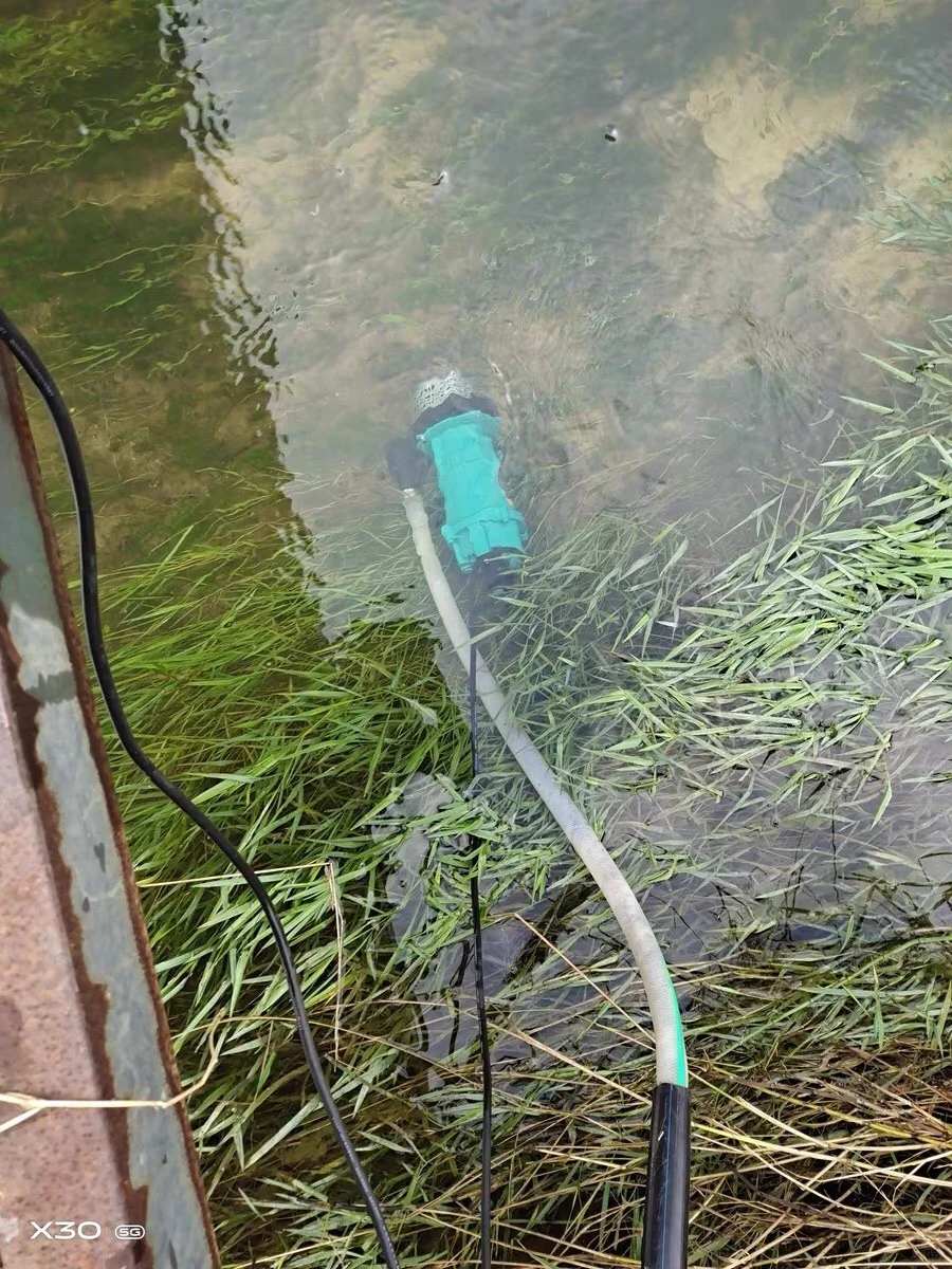 快给它拽上来，它要把河水抽干了