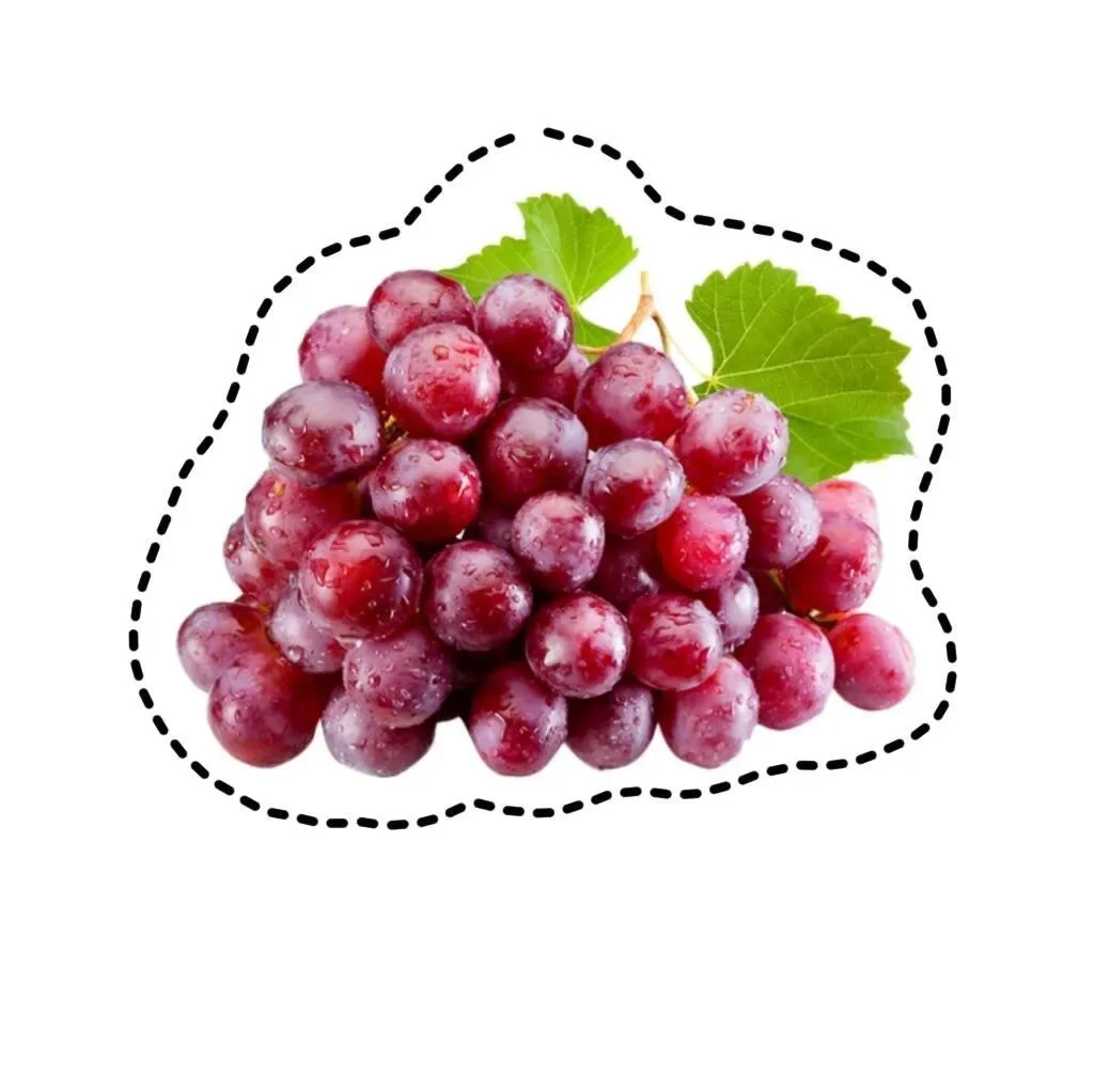 水果认知图片玩具｜可打印 手工剪纸素材