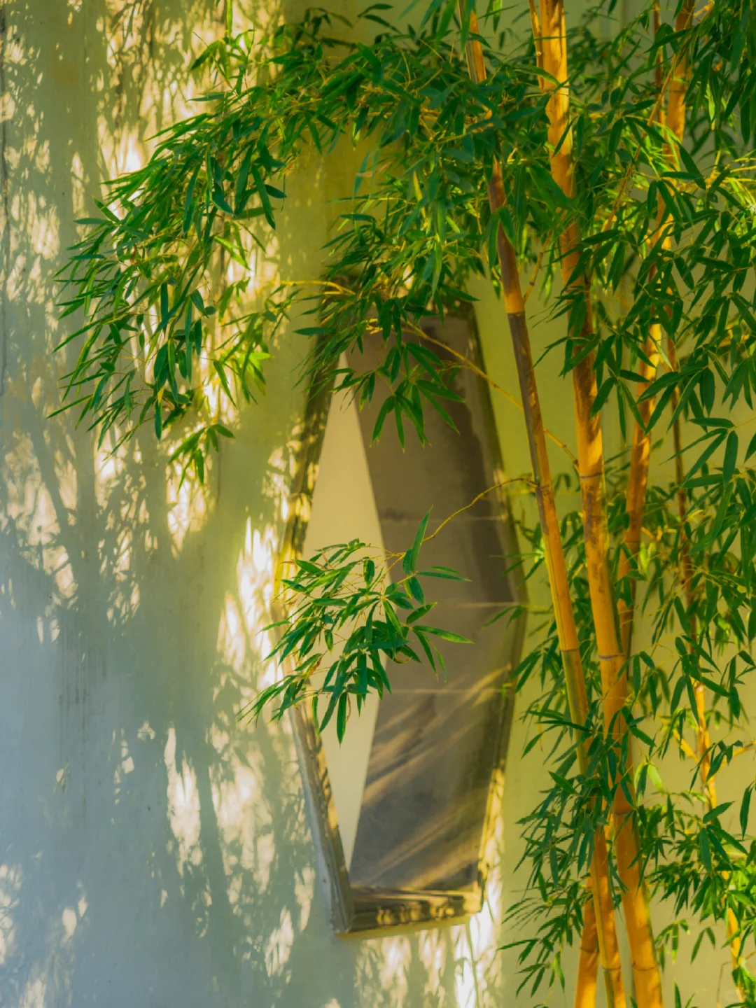 终于有人把拙政园的封神花窗整理出来了‼️