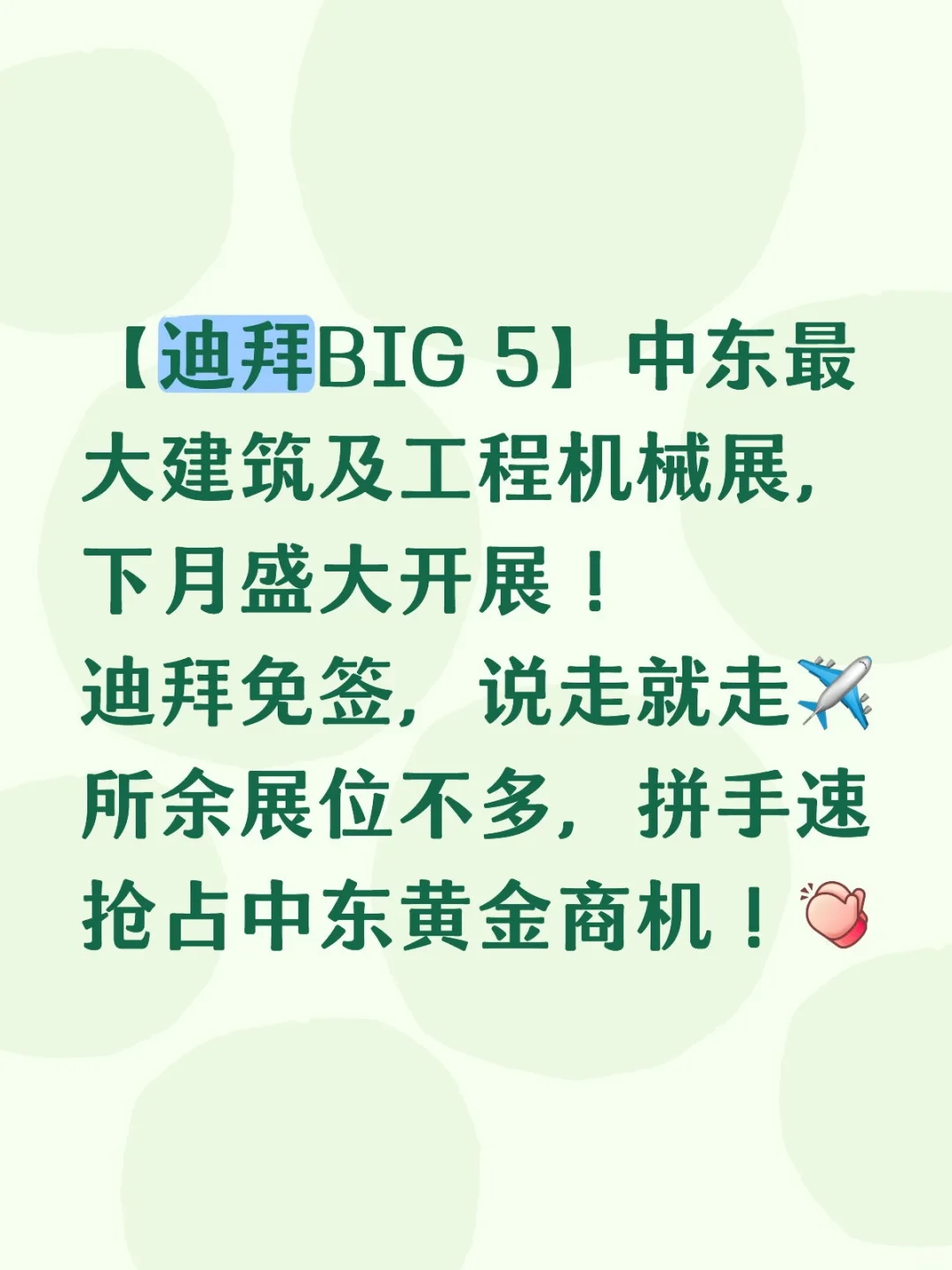 迪拜BIG 5 中东最大建筑及工程机械展
