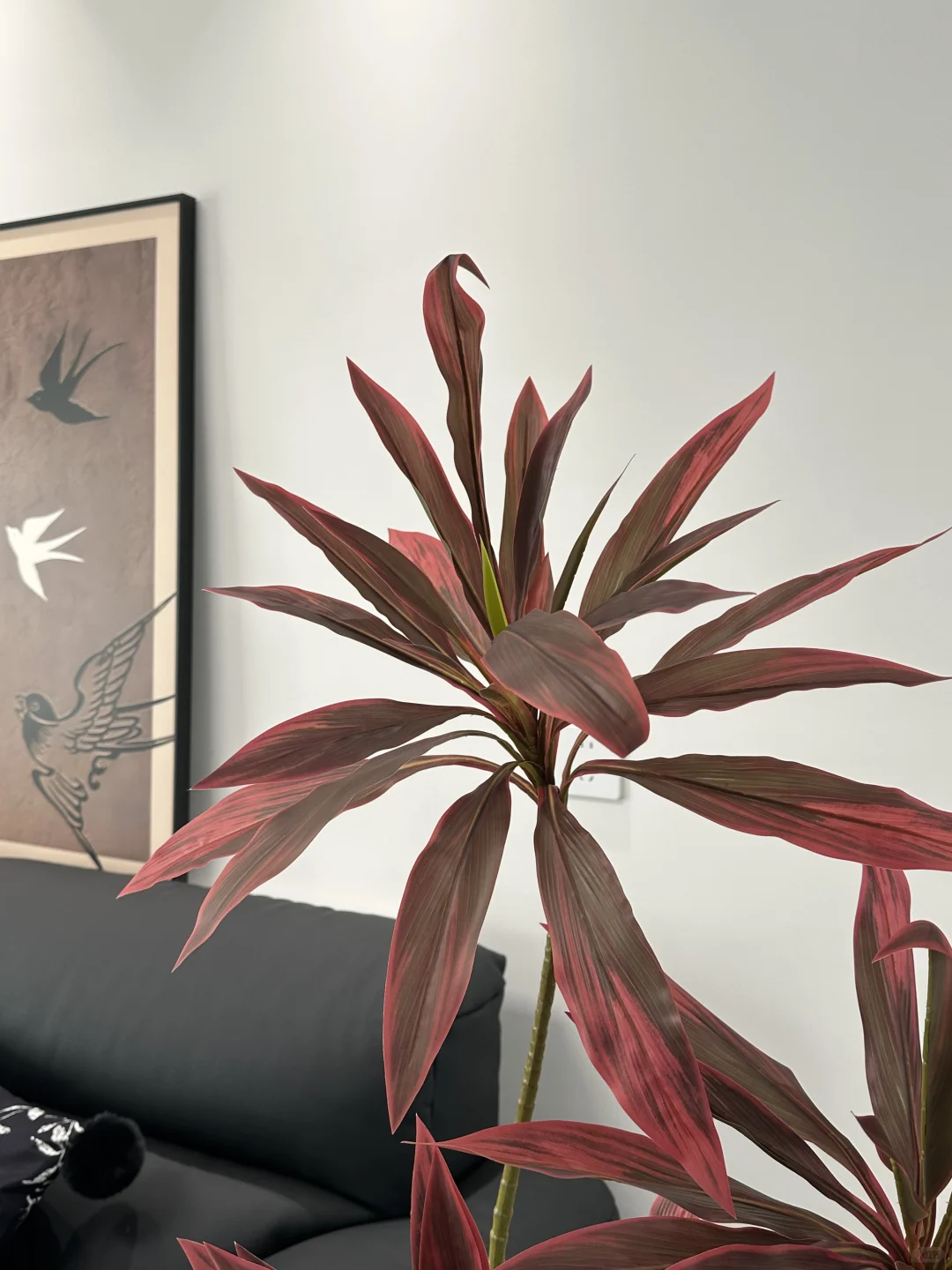 黑白灰的小家太需要它了！！