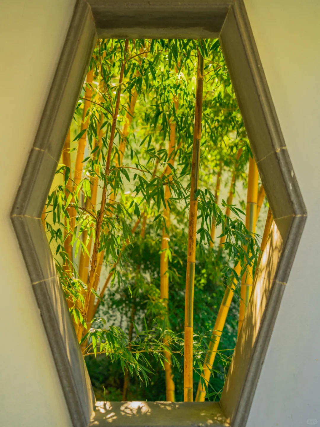 终于有人把拙政园的封神花窗整理出来了‼️