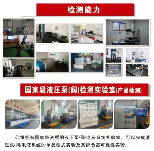 外贸：液压泵总成