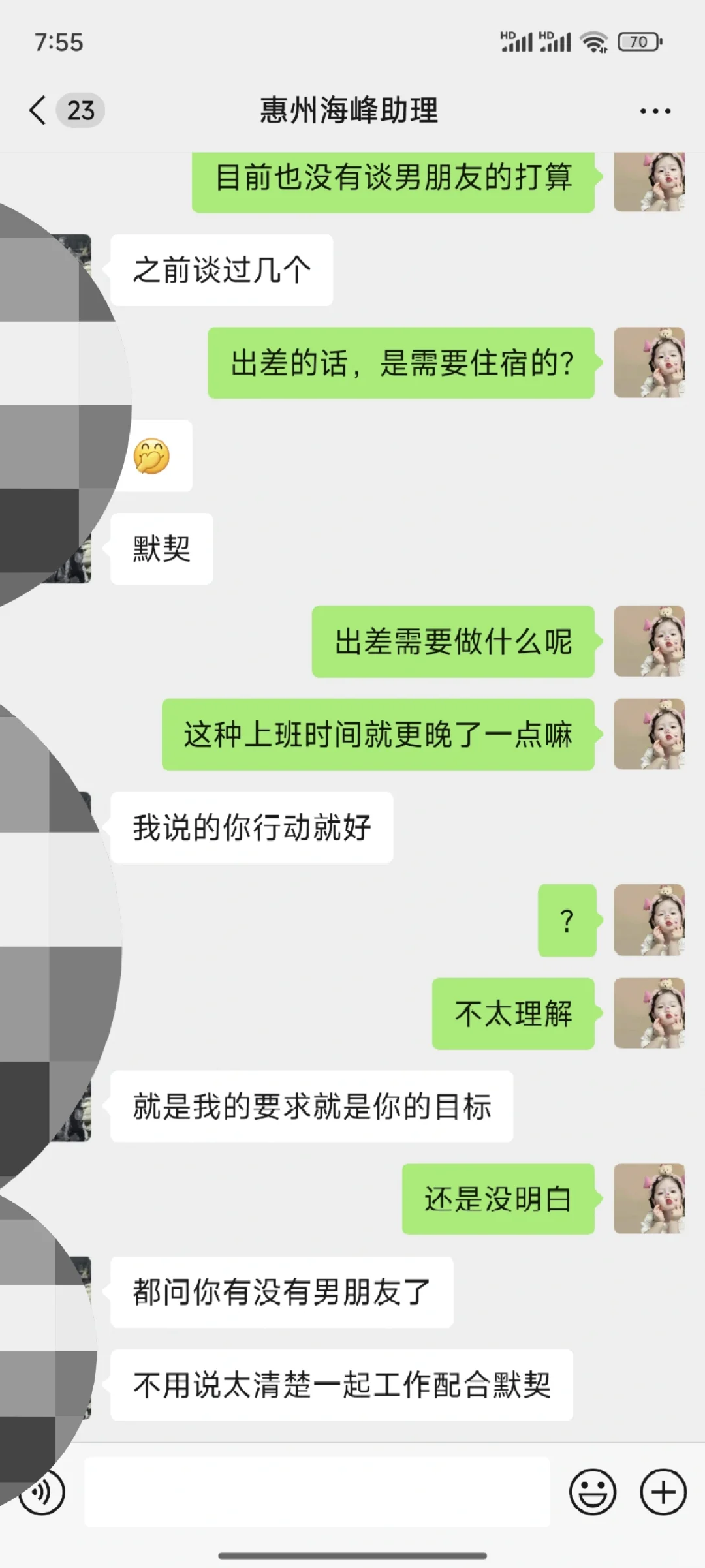 惠州海峰塑料某某有限公司