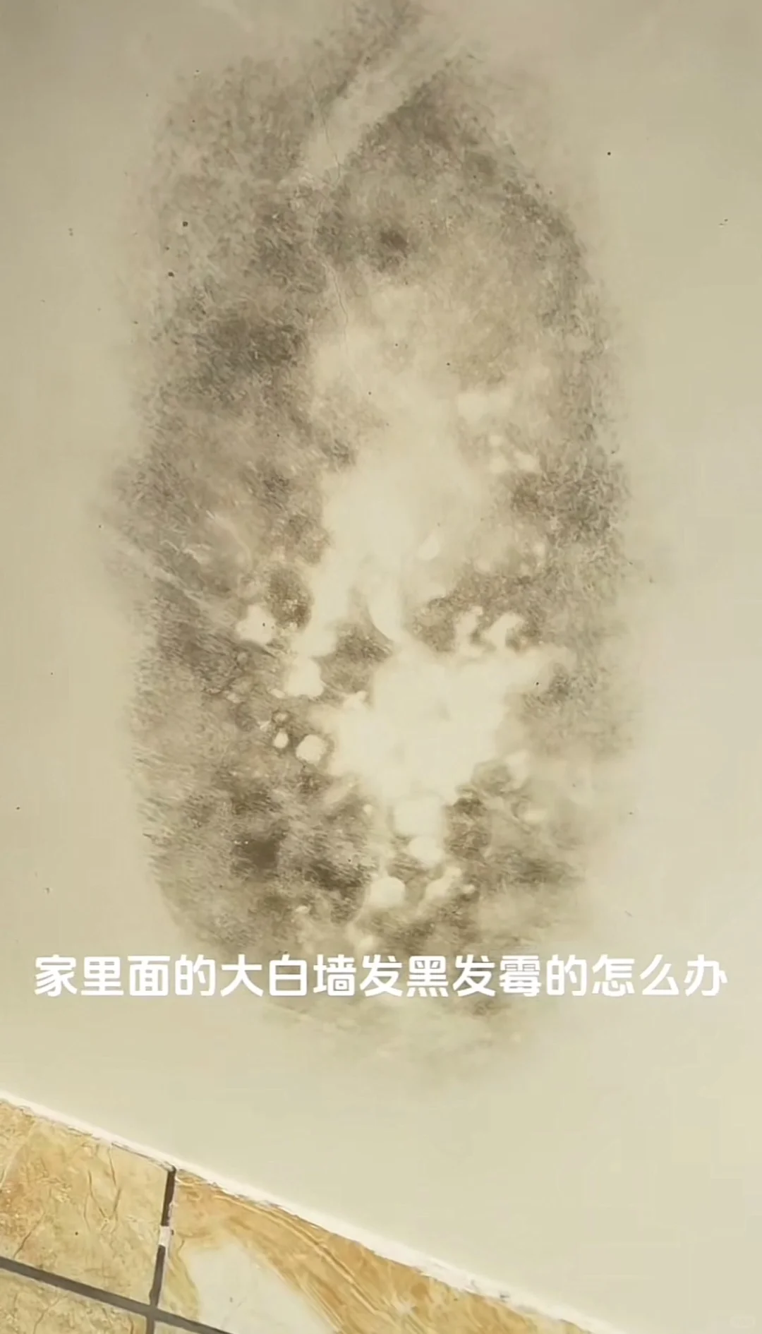 墙体发霉的危害与处置