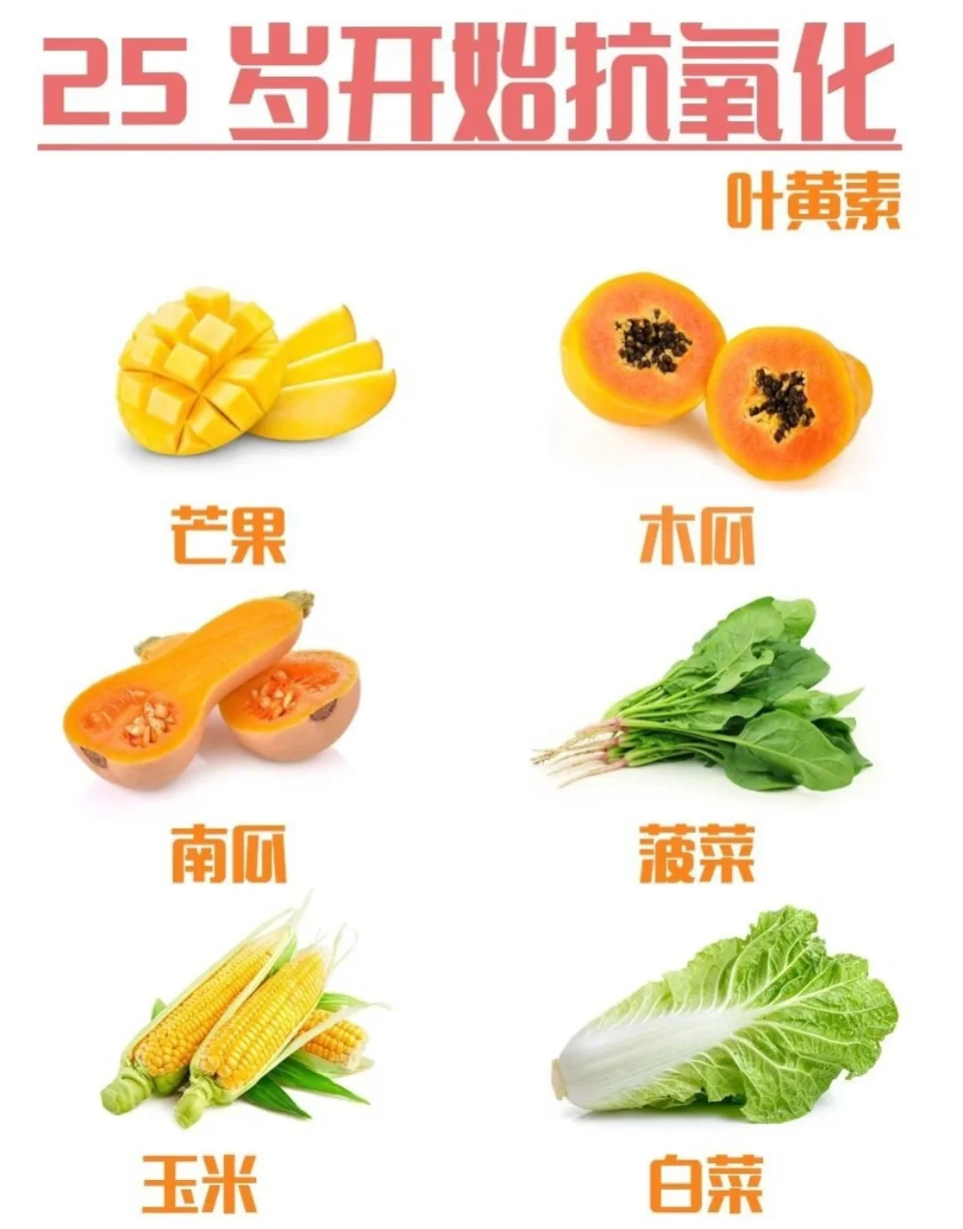 25岁,是时候把“抗氧化”刻进DNA里了!