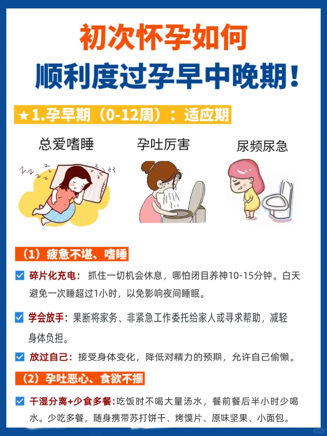 初次怀孕,如何度过孕期的早中晚期?