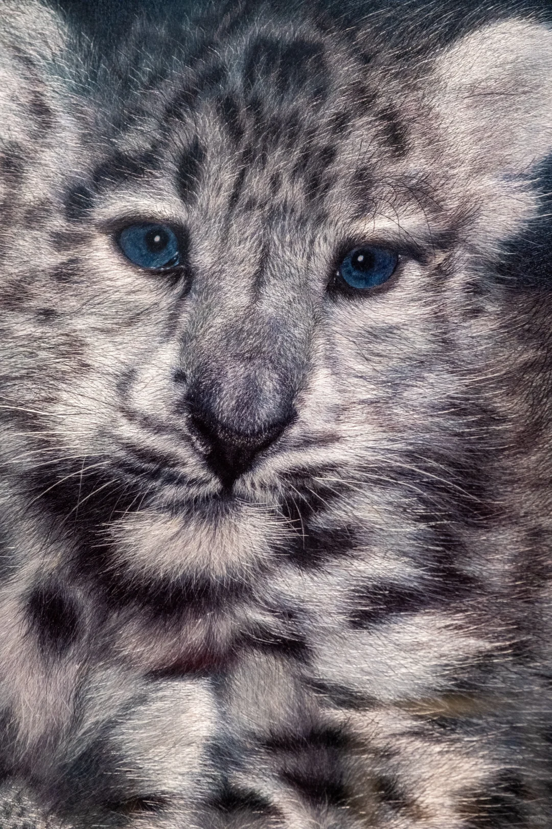 国家级审美暴击!展品美哭!