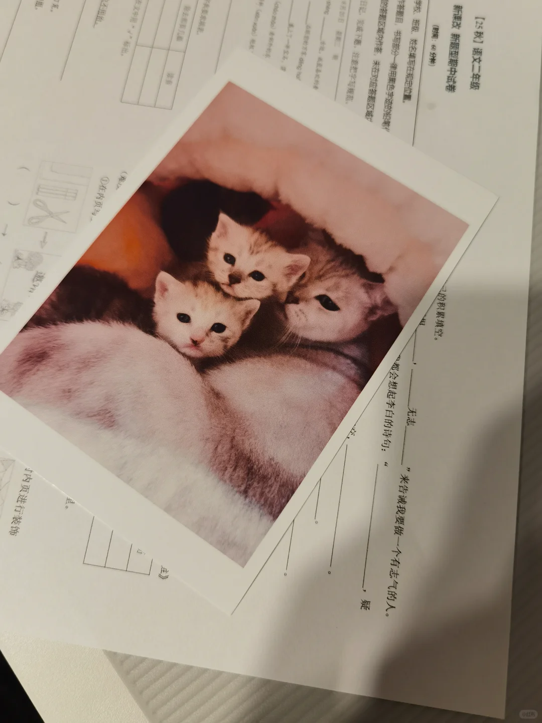 最后还是买了喷墨打印机