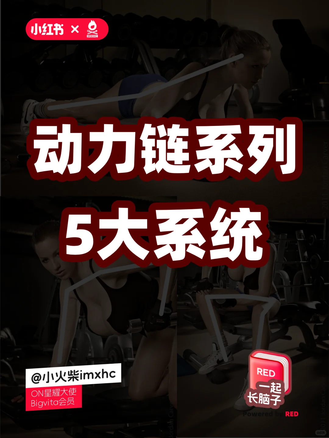 动力链系列——5大系统介绍