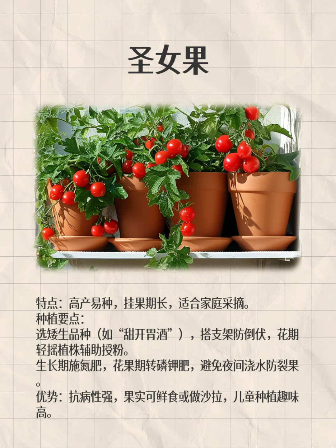 阳台这8种闭眼种都能爆果!