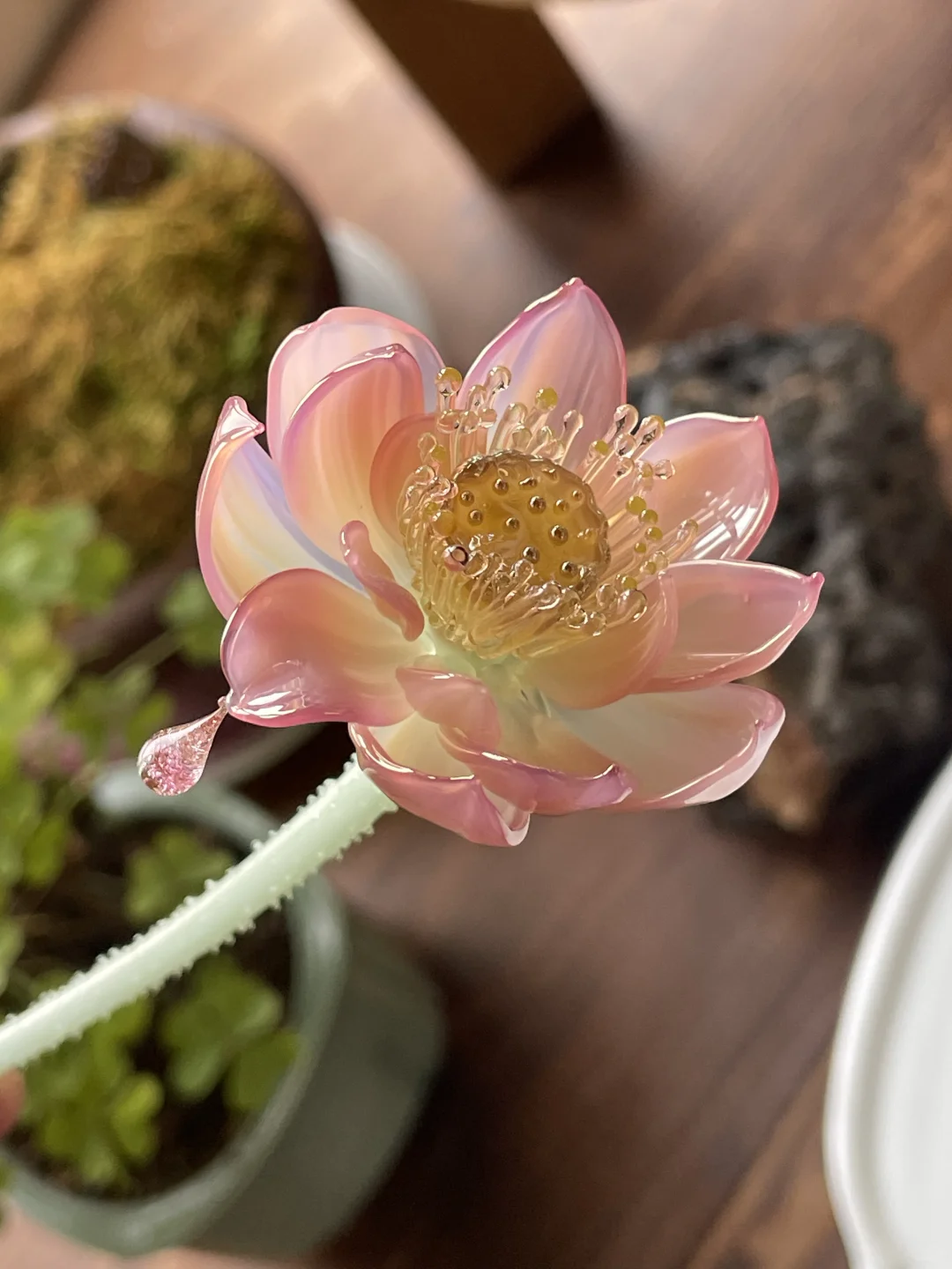 灯工玻璃荷花日常练习分享