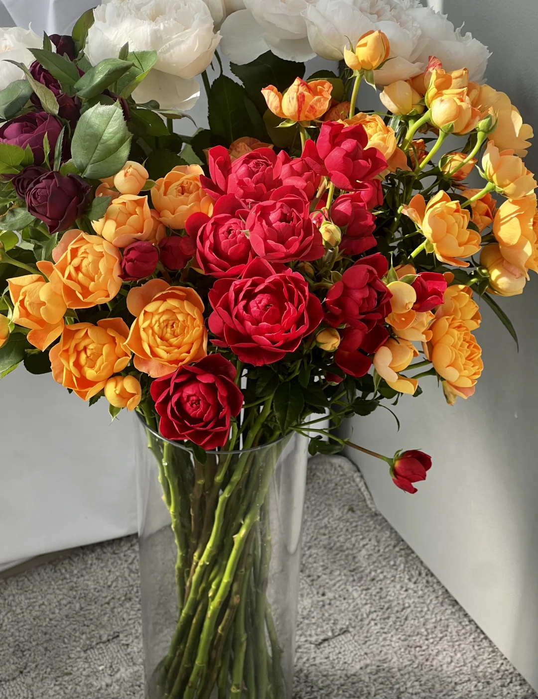 植艺的混色果汁