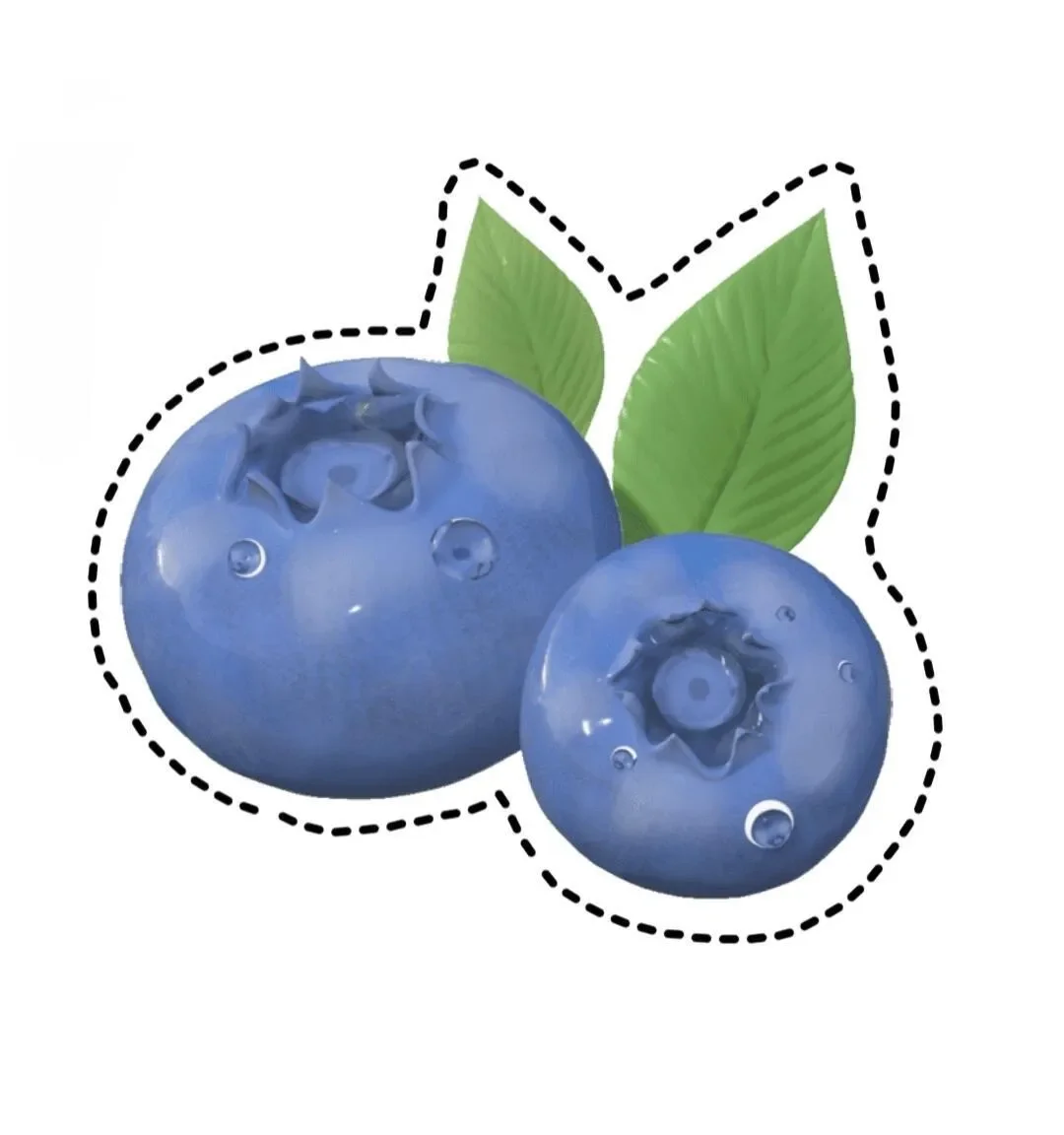 水果认知图片玩具｜可打印 手工剪纸素材