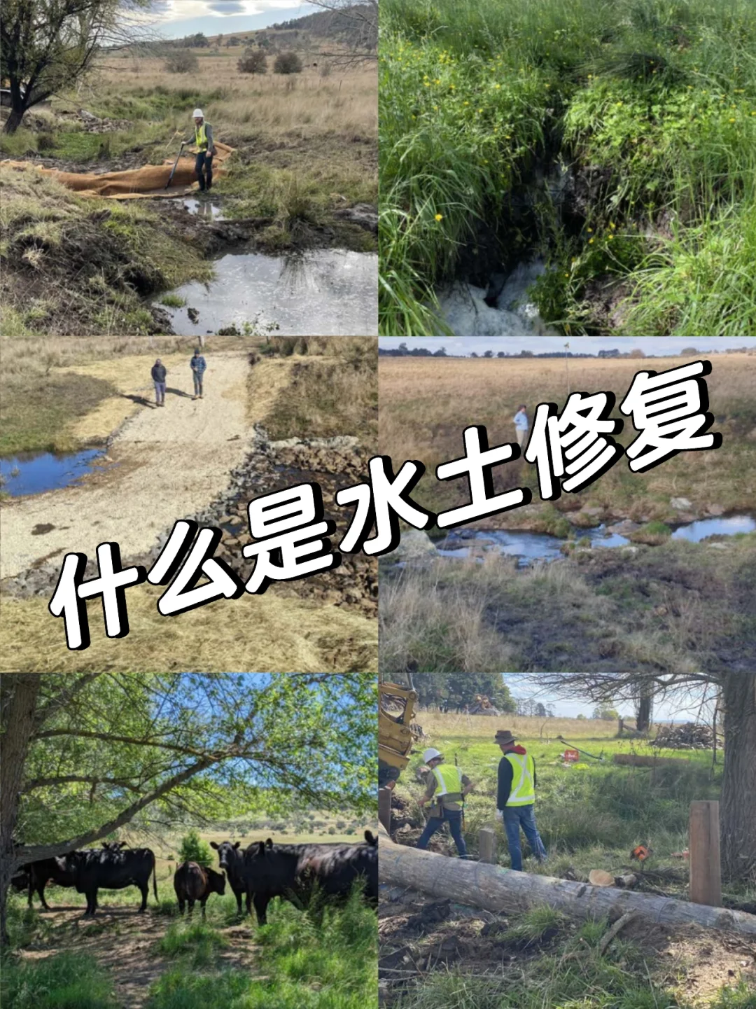 什么是水土修复