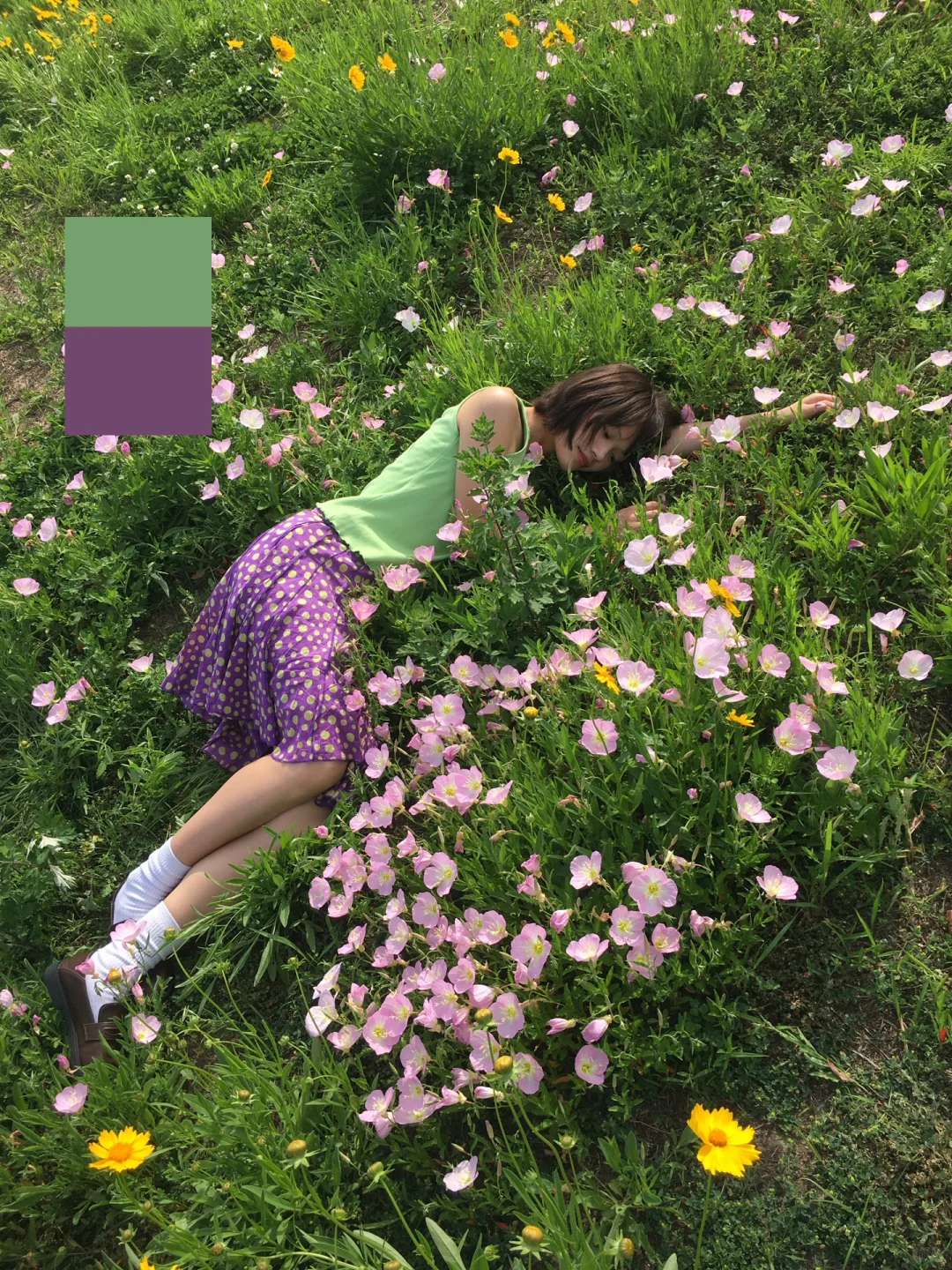 我的植物系色彩搭配穿搭分享！！！