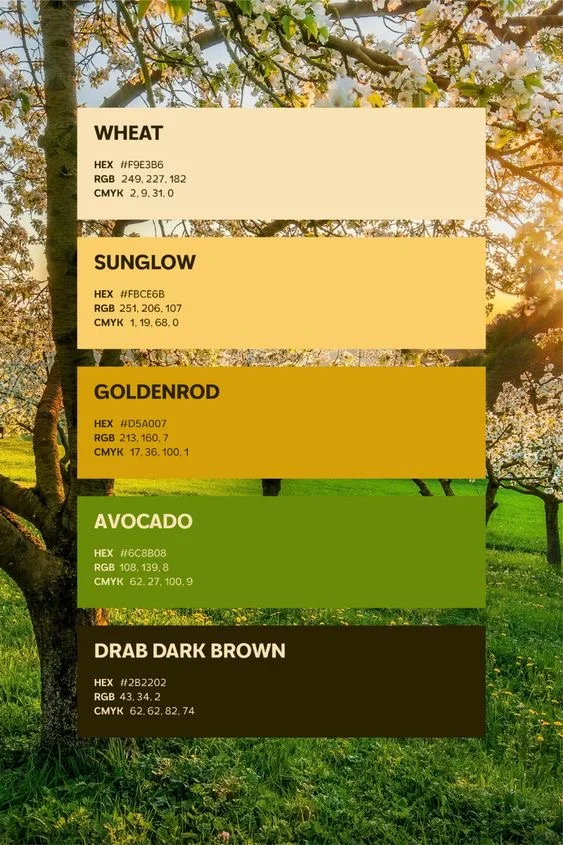 每日色卡Vol.23|春夏必收的氛围感配色 ✅