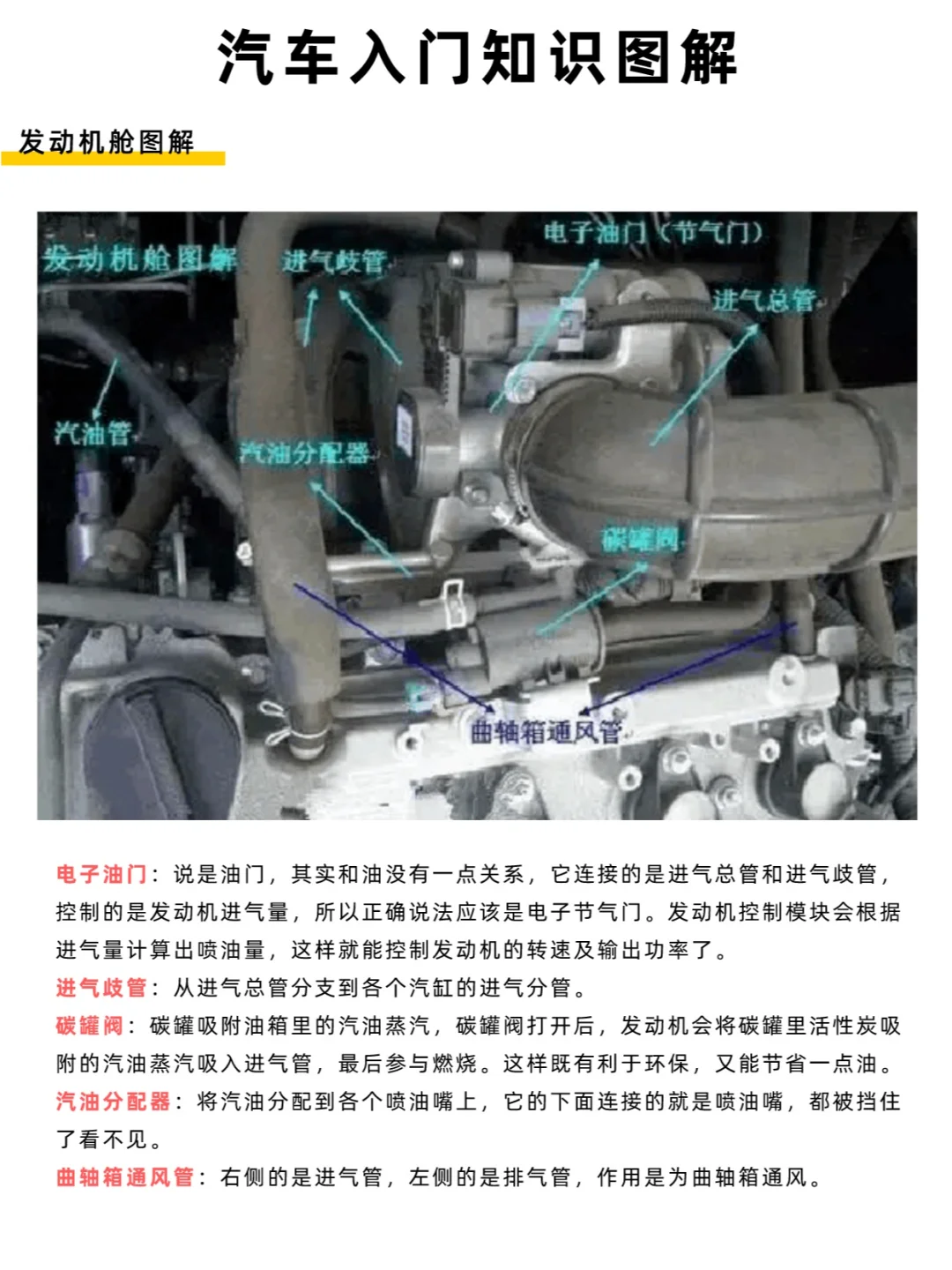 汽车入门知识-发动机舱图解