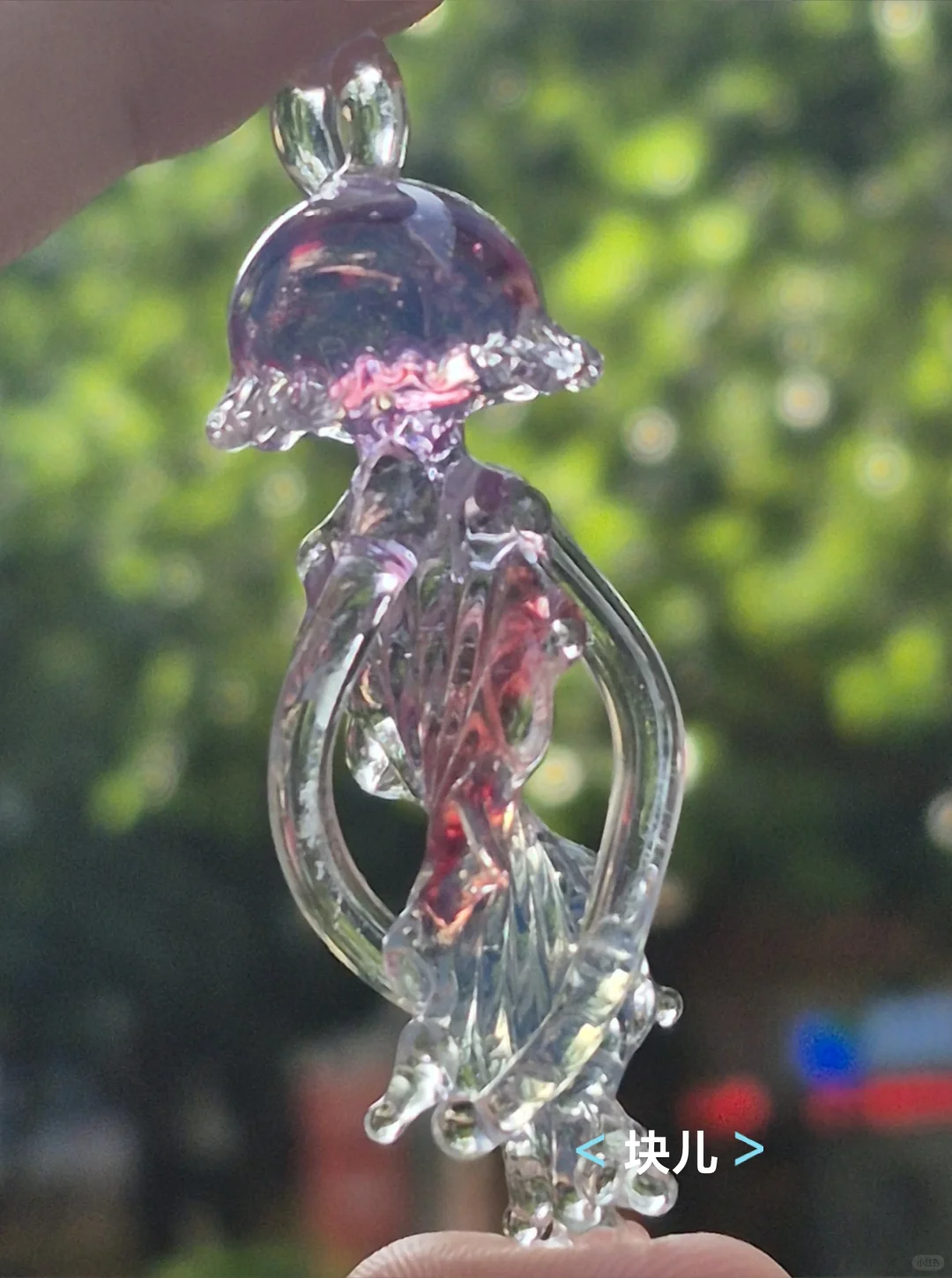 最近在直播间买的一些水母测评