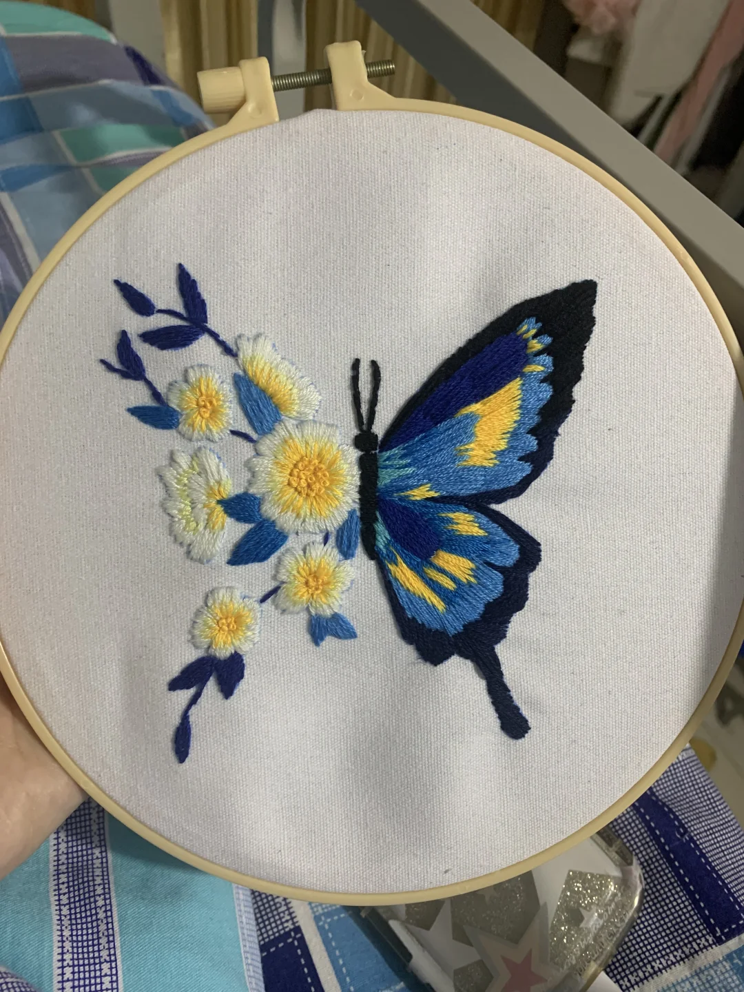 ?一只蝴蝶的成长过程