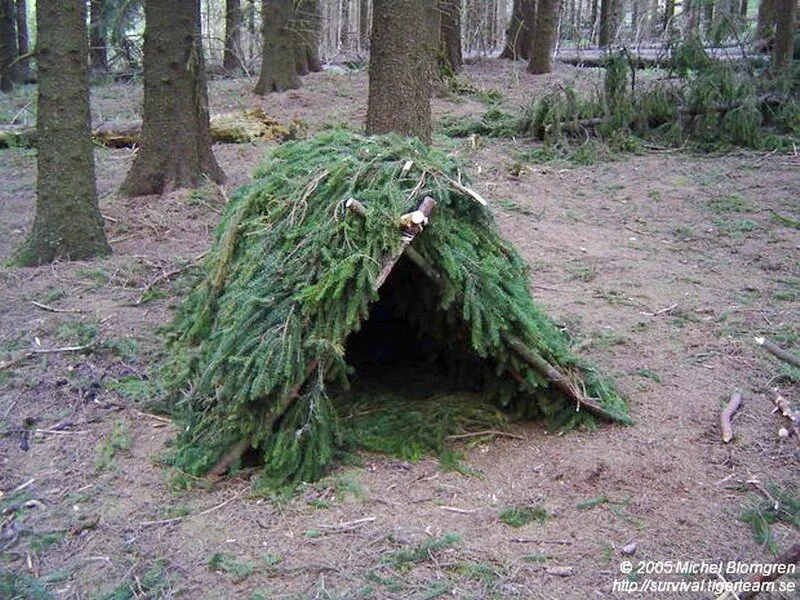 野外生存庇护所