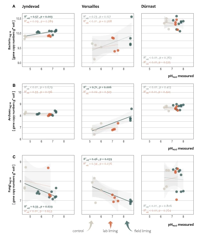石灰添加如何影响微生物CUE?