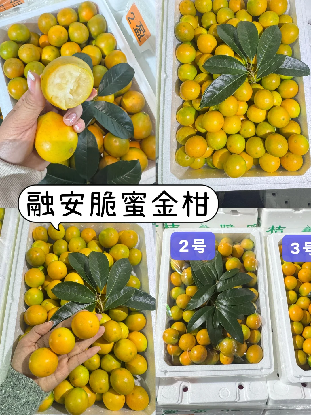 十月的水果市场挑花眼❗️实现水果自由