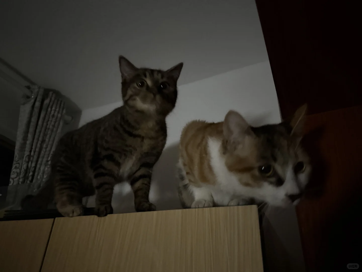 西湖街道停电抢修