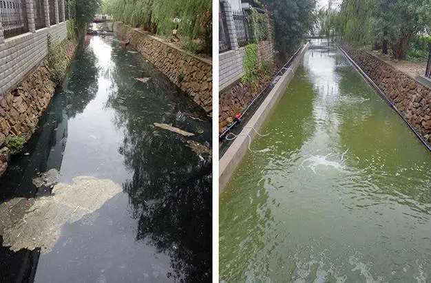 煤矿污水变清泉：揭秘处理设备